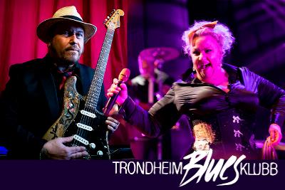 Trondheim Bluesklubb feiret 40 år med stil