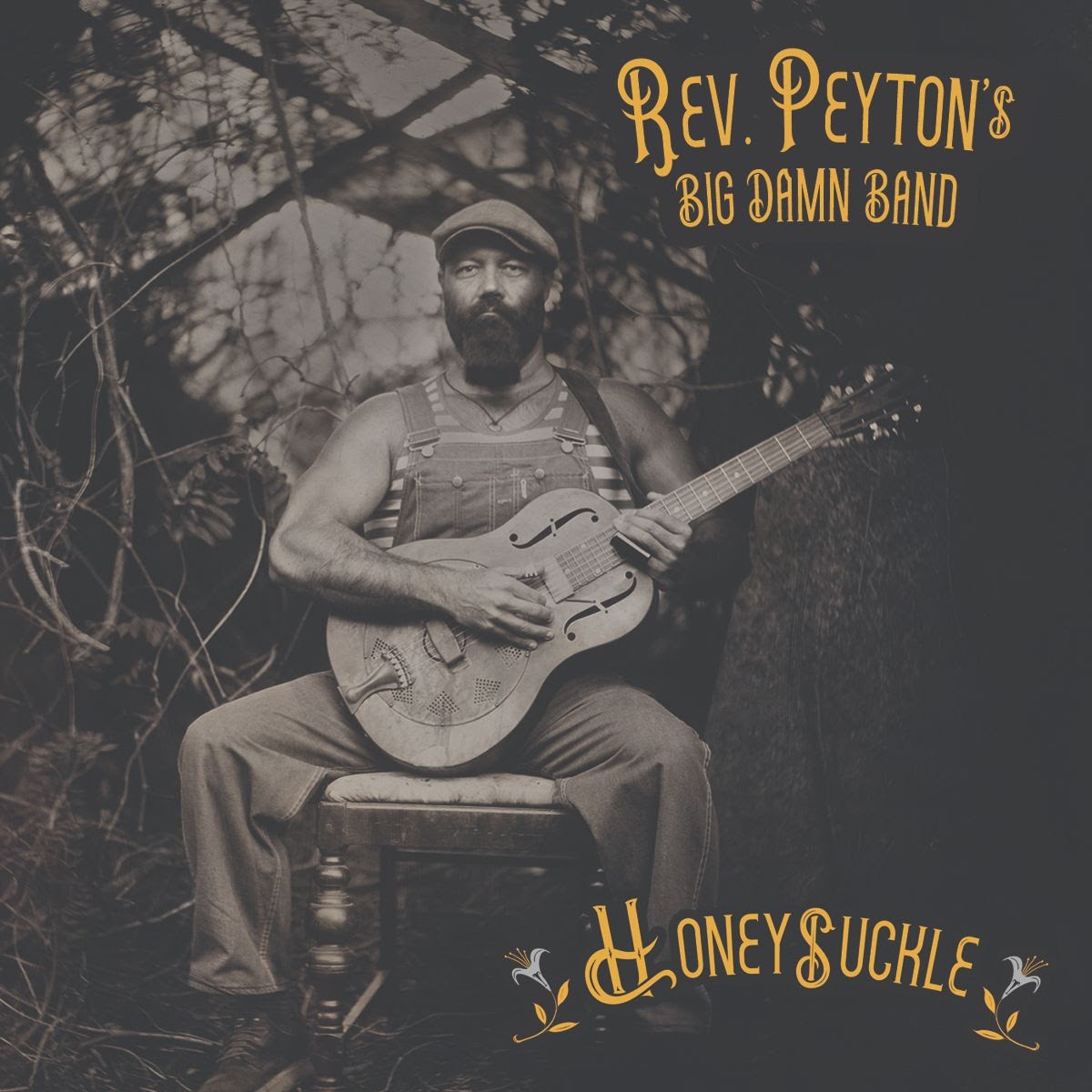 Rev Peyton Big Damn Band - Honeysuckle