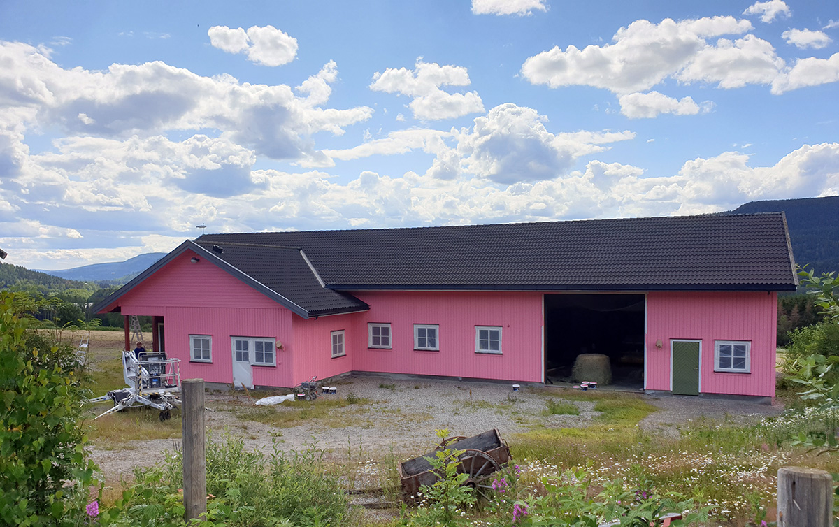 Også stallen er malt rosa på Nordby.