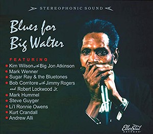 Diverse artister - Blues For Big Walter