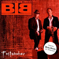 Brothers in Blues - Tailshaker