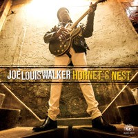 Joe Louis Walker - Hornet’s Nest